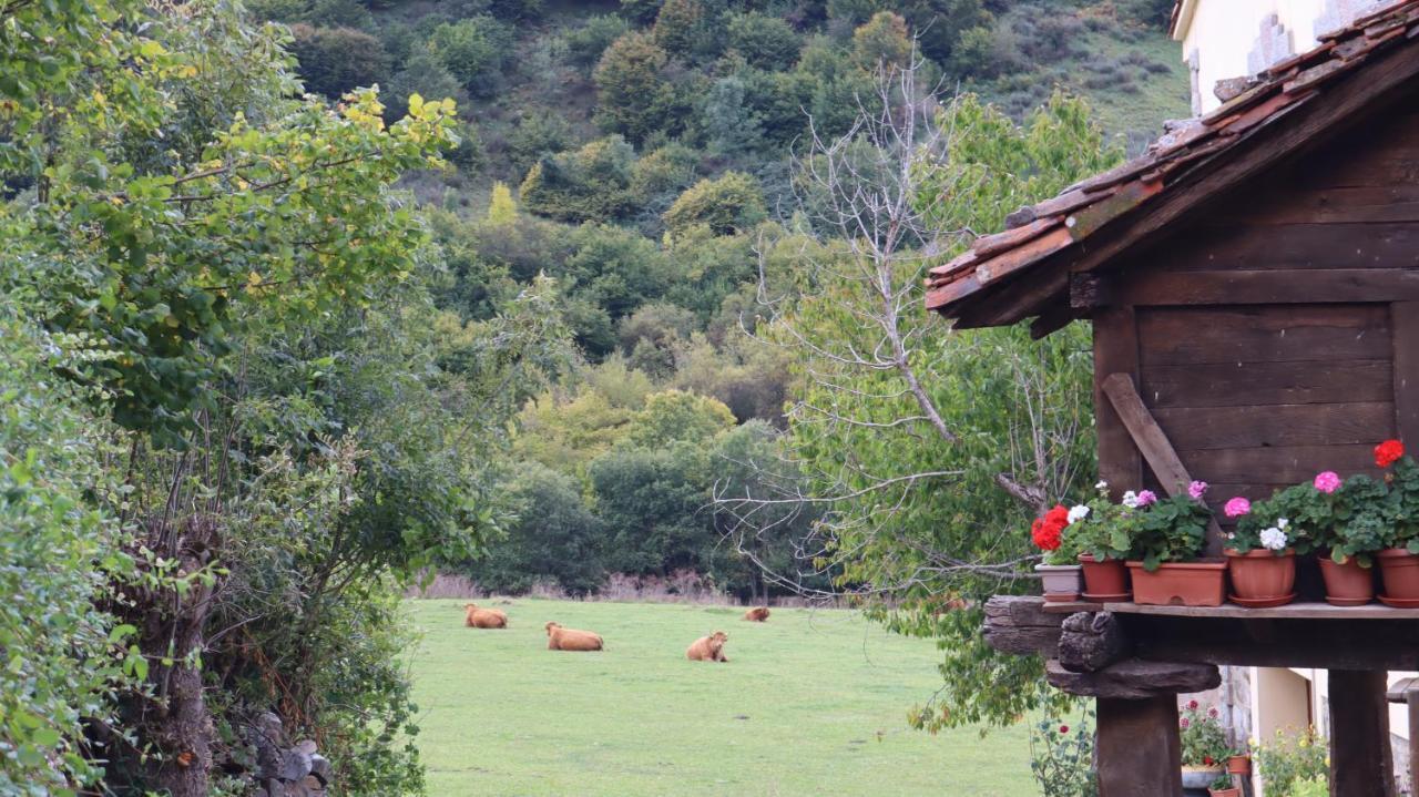 Casa Rural Cares Santa Maria de Valdeon Екстер'єр фото